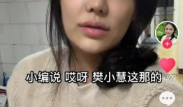 樊小慧视频爆料大全集在线观看,揭秘背后真相