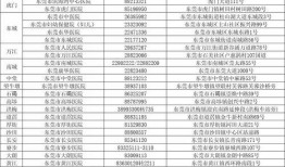 东莞新冠病毒最新爆料,追踪变异病毒传播链与防控措施升级